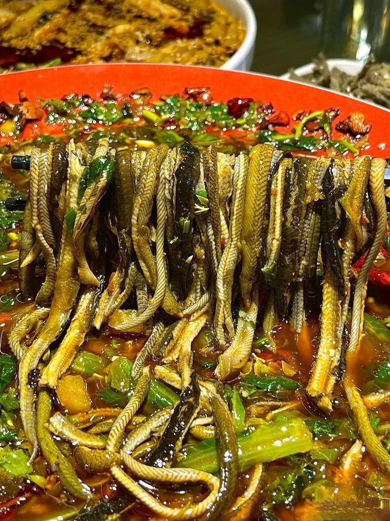 海马在海洋生态系统中的作用