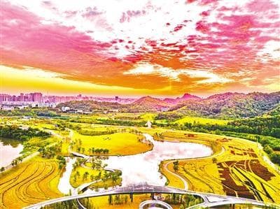 卷桥河湿地入选全国典型生态案例