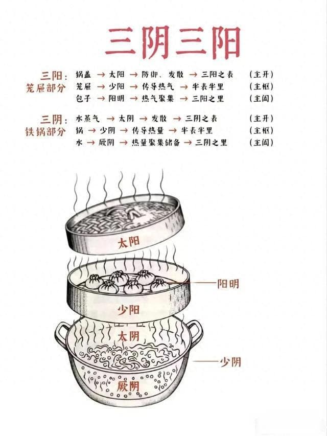 伤寒进阶：“三阴三阳”通俗解析版