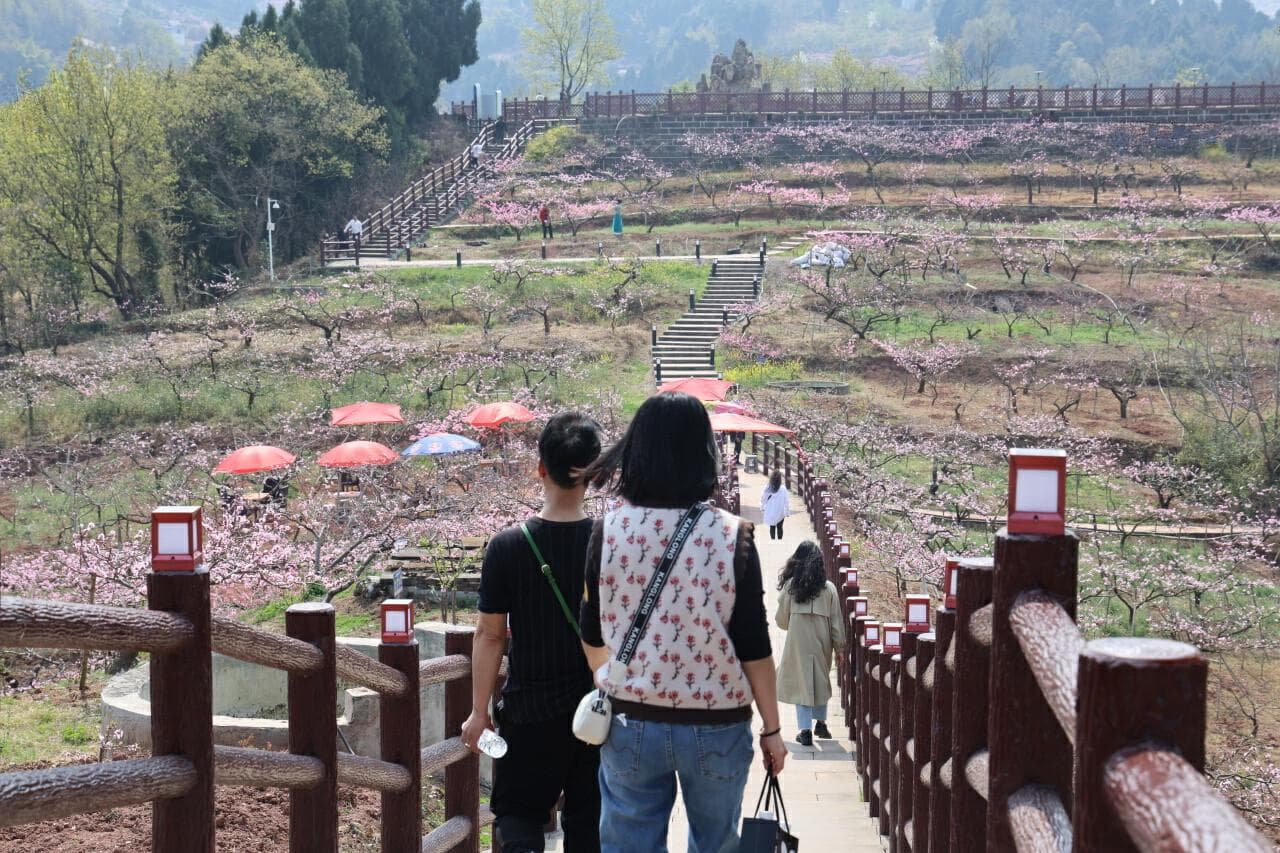 周末赏花不打挤！这条全长7.2公里的徒步路线值得收藏打卡