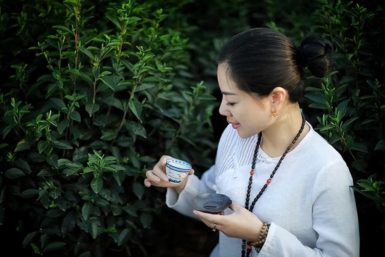 中国十大名茶之一：君山银针