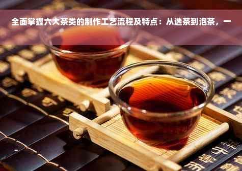 全面掌握六大茶类的制作工艺流程及特点：从选茶到泡茶，一文解析