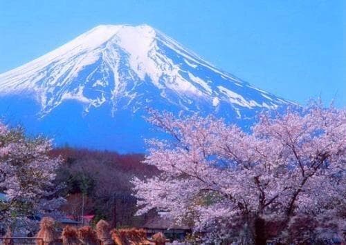 雪山之巅：探索高海拔生态系统的奥秘