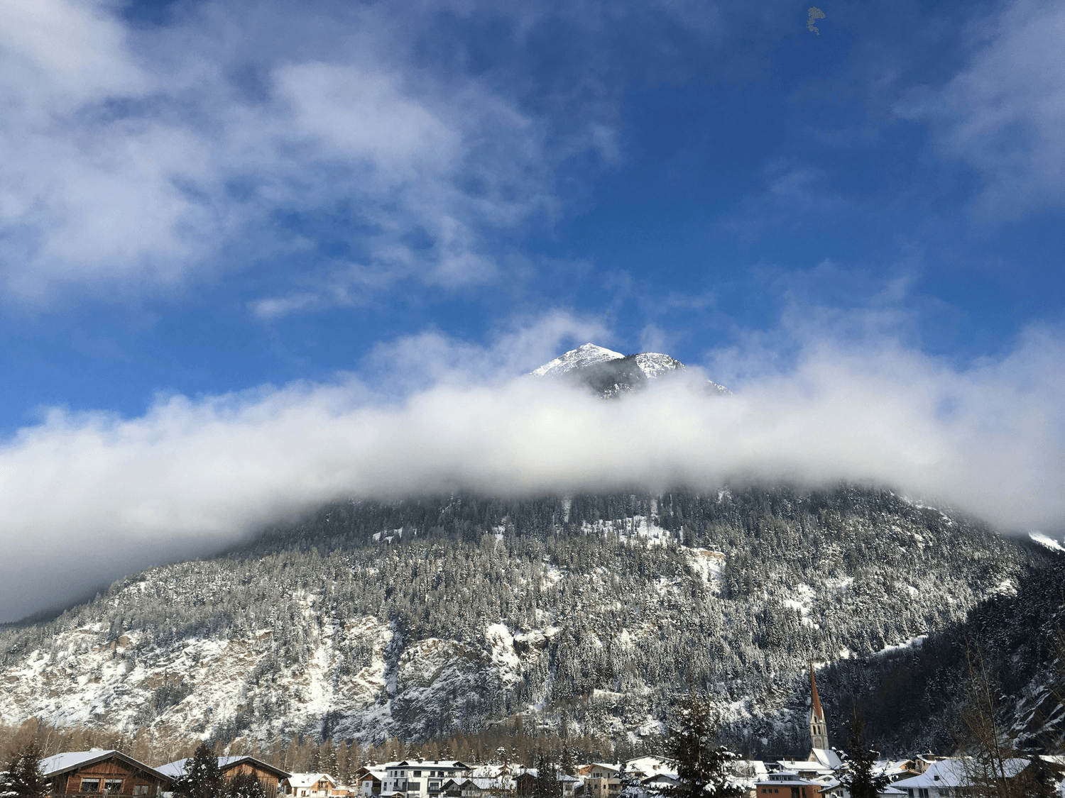 冬日崂山：邂逅绝美雾凇，漫步冰雪世界