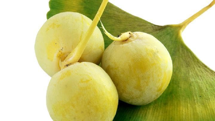 银杏果怎么吃：从挑选到食用的完全指南