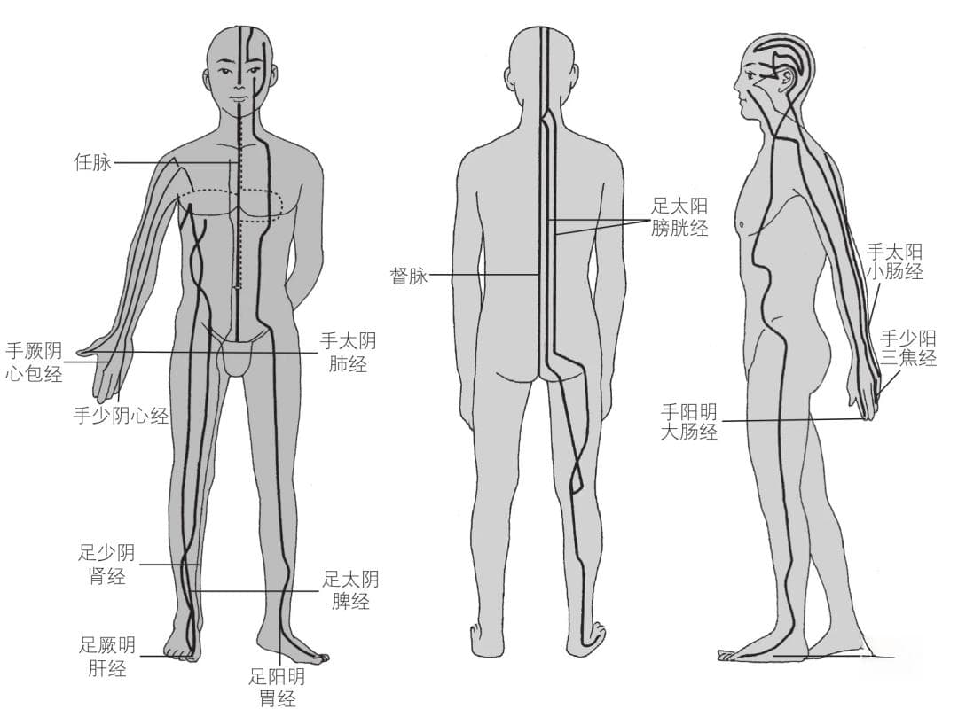 中医经络学说：从起源到系统组成