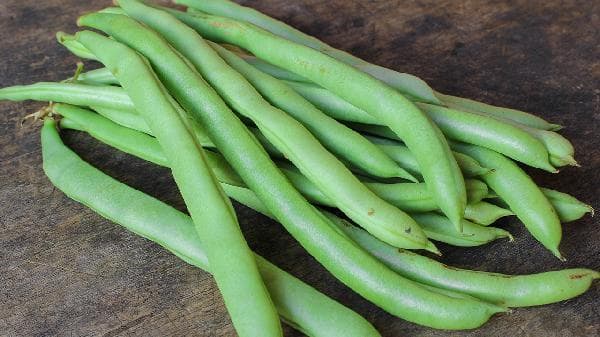 蔬菜的三种分类方法：植物学、食用部位与营养学视角