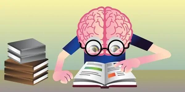 掌握英语阅读策略：让你的语言能力突飞猛进