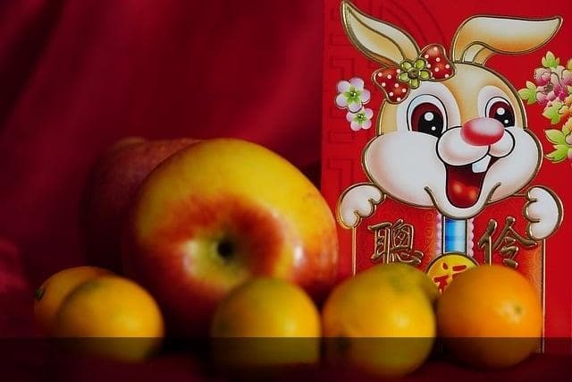 2025年兔年春联大全：春节对联精选与文化解读