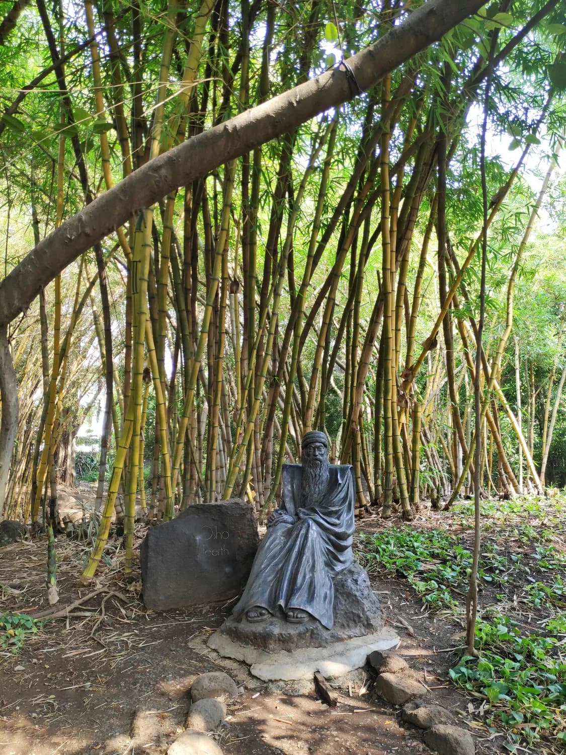 探访云台山：竹林七贤的隐逸之地