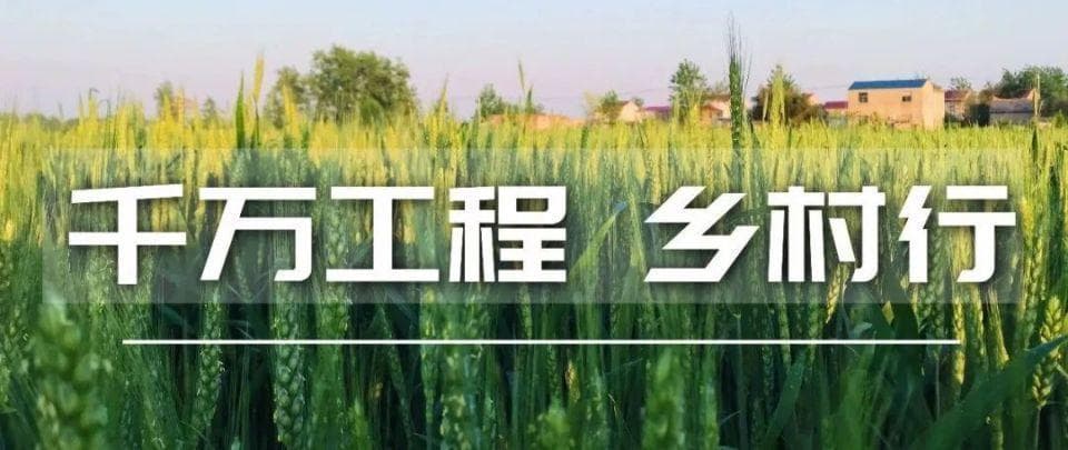 内蒙古乌兰浩特市三合村：摆脱“空心” 重焕生机
