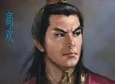 后世如何评价北齐神武帝高欢？他的主要成就有哪些？