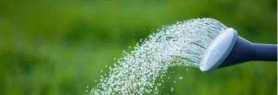 乔木、灌木、藤本植物养护技巧规范！园林人必读！