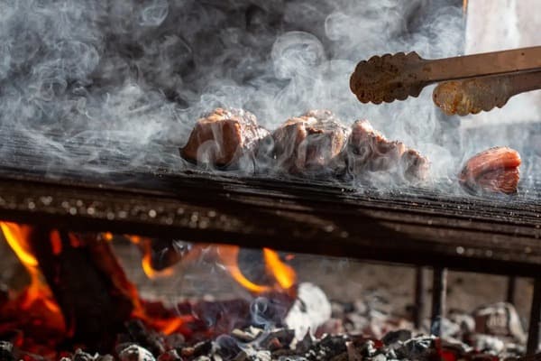 多肉植物施肥指南：如何选择合适的肥料