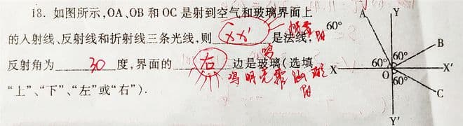 九年级速进！光学技巧与避坑指南！反射折射题解法避错全攻略