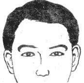 28种眉毛类型图文详细分析