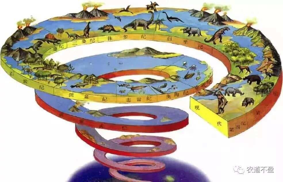 土壤-植物营养-人体健康的关系