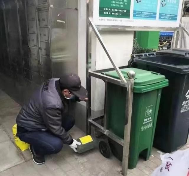 如何正确设置灭鼠毒饵站？