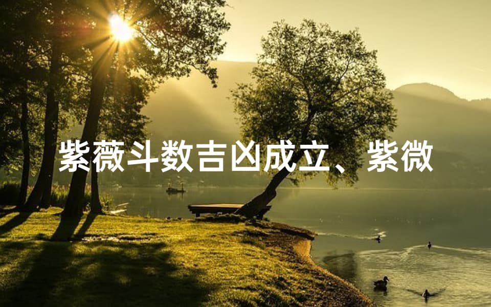 紫薇斗数吉凶成立、紫微斗数的起源与发展