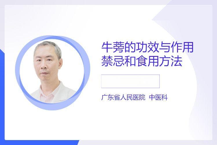 牛蒡的功效与作用、禁忌和食用方法