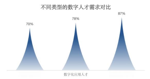 深度解读《2024数字人才白皮书》：透视数字人才困境与解决之道