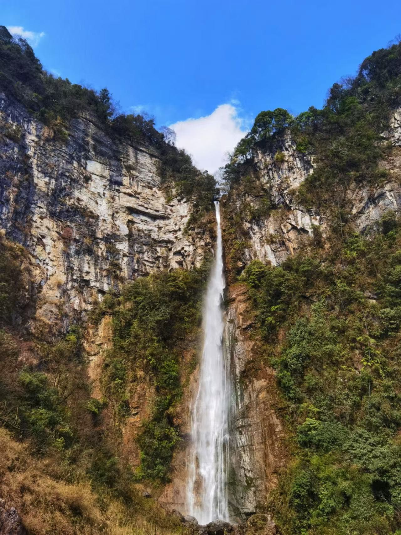 “千年飞瀑”重现、“物种宝库”上新！探寻生态修复的绿色密码