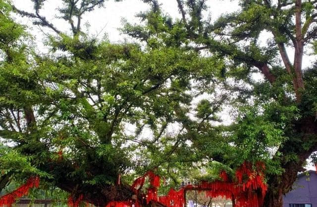 成都很冷门的古镇, 距离市区80公里, 已有千年历史