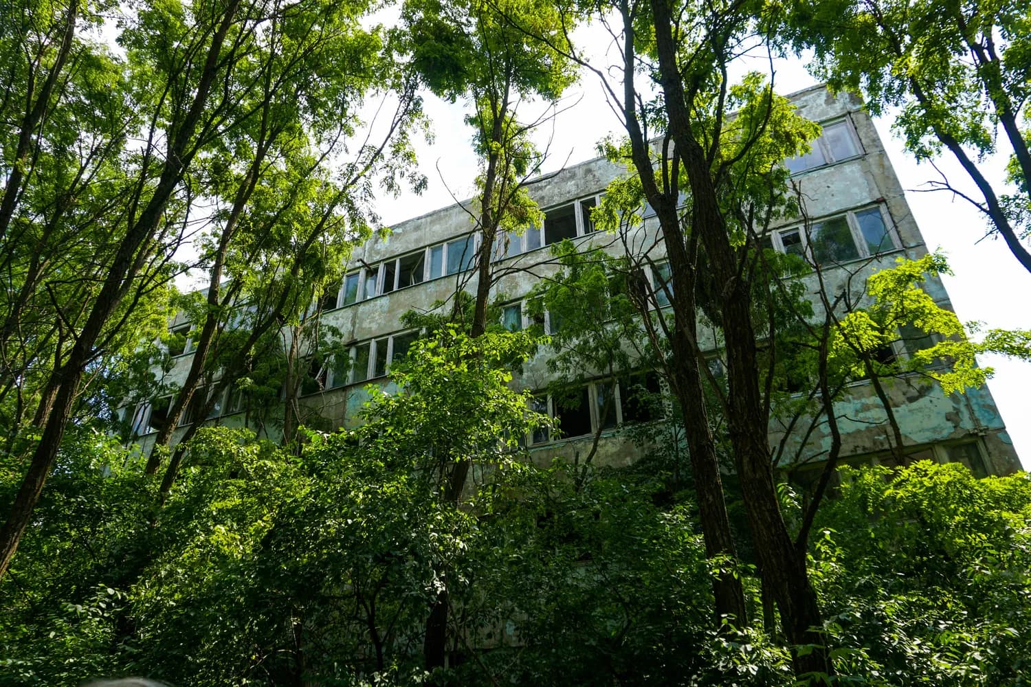 全国第一！东北林业大学林学专业领跑中国林业教育