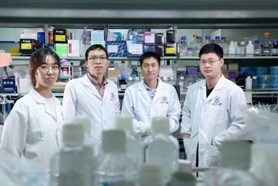 Science | 用"黑客"思维改写氨基酸"代码"，创造全新蛋白质