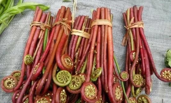 春天吃野菜，这3种野菜要先焯水，健康最重要