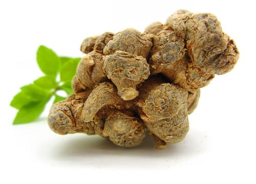 三七种植技术详解