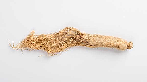 人参泡酒的注意事项