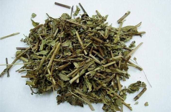 青藏高原“肝病克星”藏茵陈：从传统到现代的医学应用