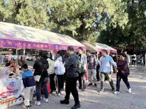 济南园林花市绽放都市生活的诗意绿意