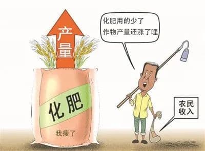 茶树也“挑食”？这些茶树“投喂”要点你必须知道！