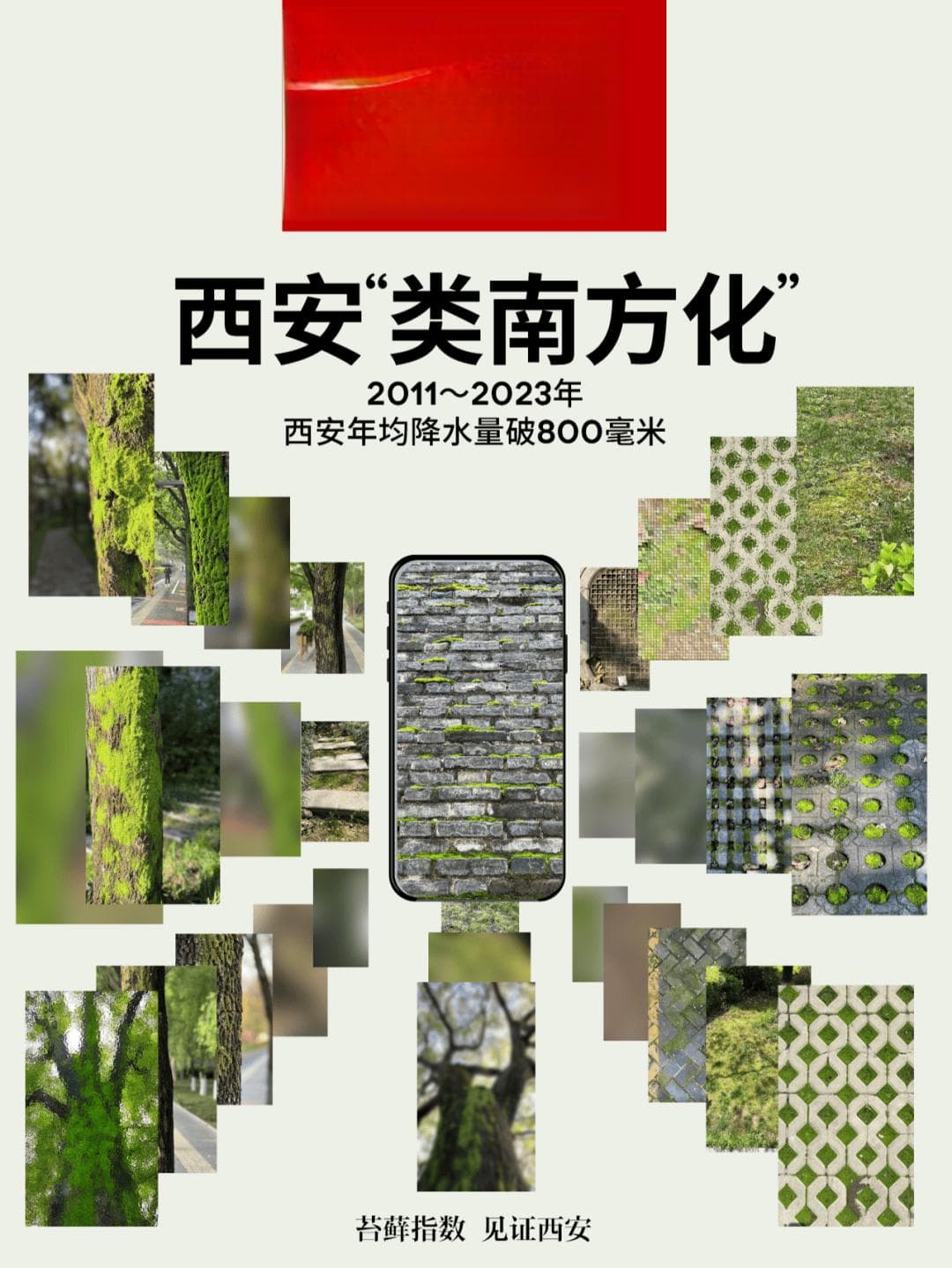 城市观察者见证：西安气候24年变迁，降水量破800毫米大关