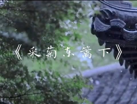 采菊东篱下，悠然见南山——古诗中的田园情怀与审美赏析