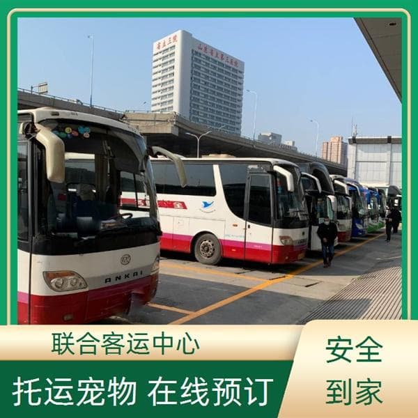 杭州至邯郸长途大巴车线路班次查询表（乘车路线+票价/每天发车）