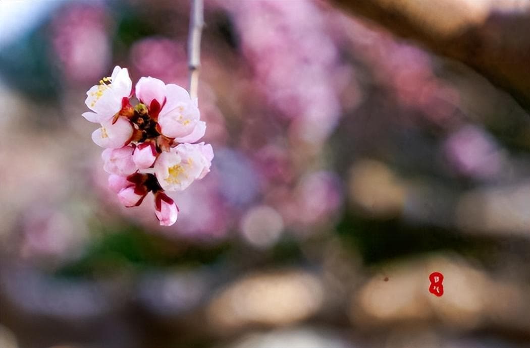 惊蛰，提醒中老年：别怕花钱，遇见4种鱼要多吃，应季肥美别错过
