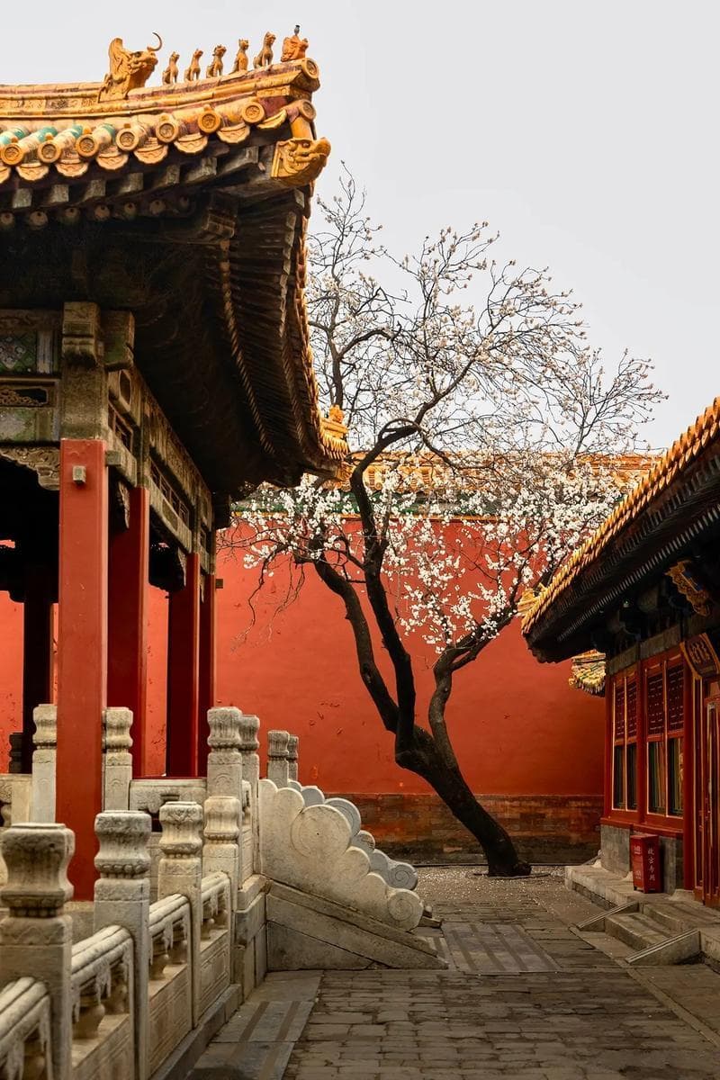 故宫御花园：明清两代皇家园林的精巧布局与文化内涵
