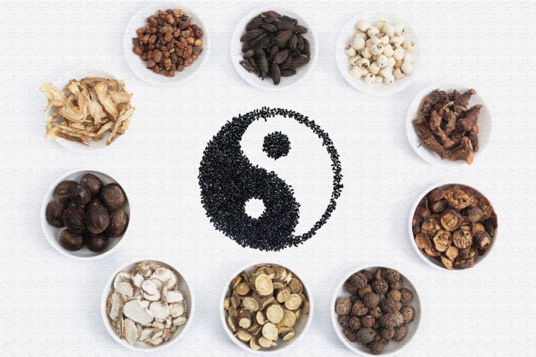 【冬季养生】药材+食材=药膳？教你炮制适合自己的健康药膳~