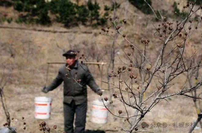 “长寿不长寿，要看六十六”，为何是66岁？又该如何看呢？早了解