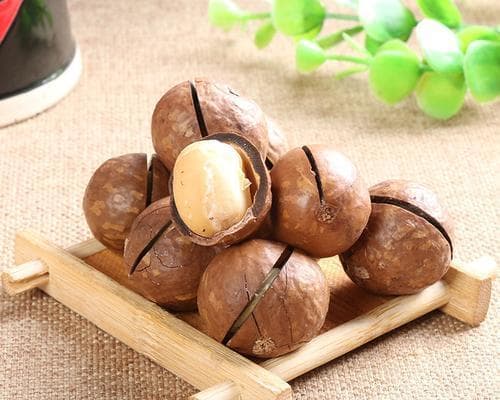 夏威夷果——一种营养丰富的水果（了解夏威夷果的功效与食用方法）