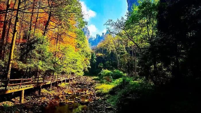 “涨姿势”！解密张家界、袁家界、杨家界