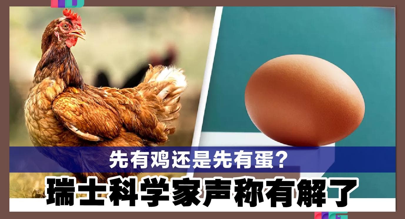 先有鸡还是先有蛋？ 瑞士科学家声称有解了