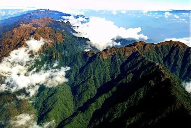树牢总体国家安全观 筑牢生物生态安全屏障 | 来怒江，看高黎贡山