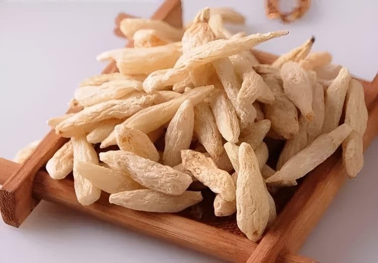 麦冬的详细介绍