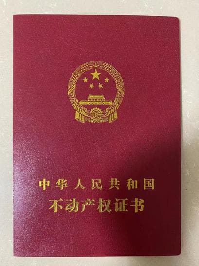当年轻人们决定去拼房