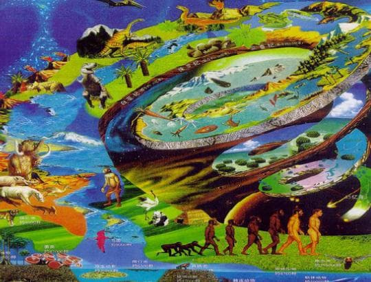 地球生物进化的四个历程