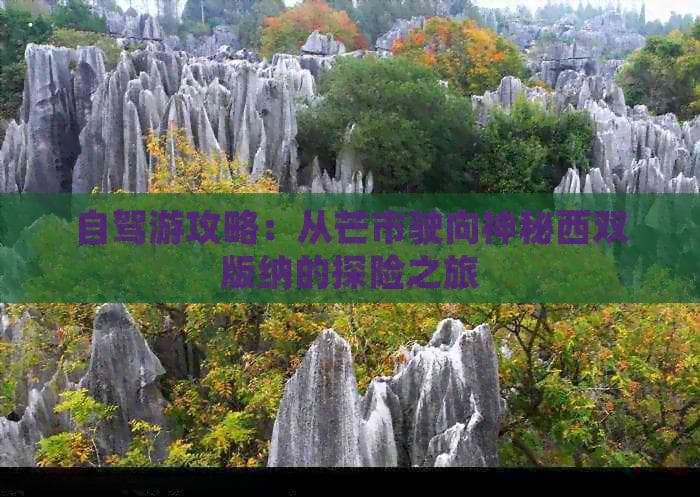 自驾游攻略：从芒市驶向神秘西双版纳的探险之旅